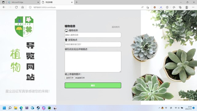 用户投稿页面展示